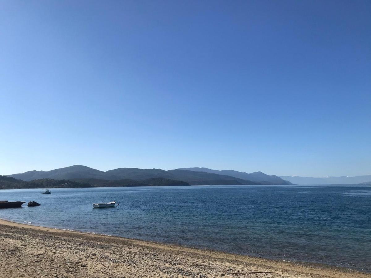 Evia Dream Family Apartments Αιδηψός Εξωτερικό φωτογραφία